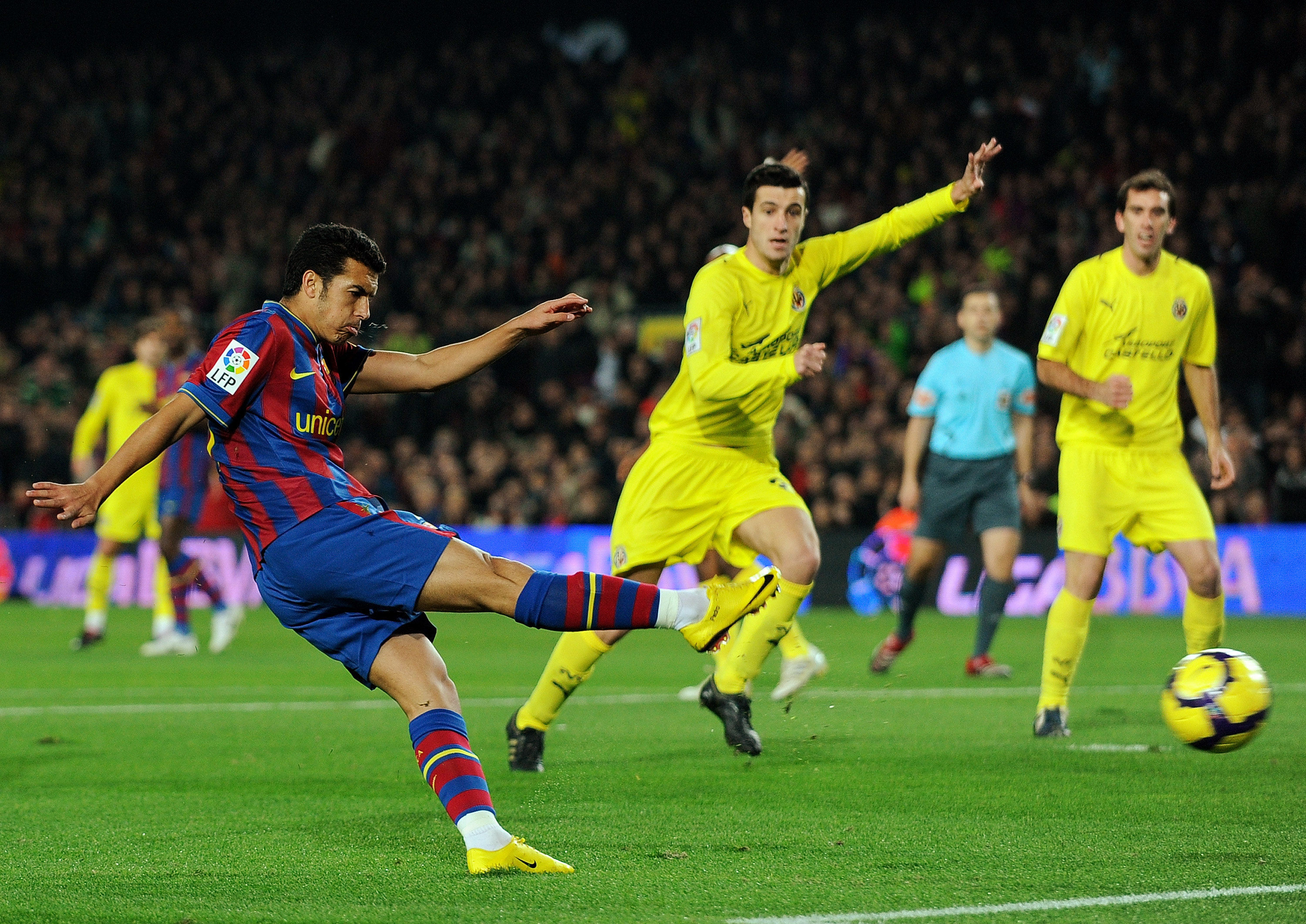 纺箱IP衍 纺箱IP衍